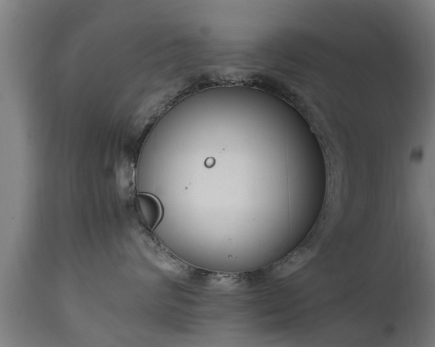 X0000112850624200908281605