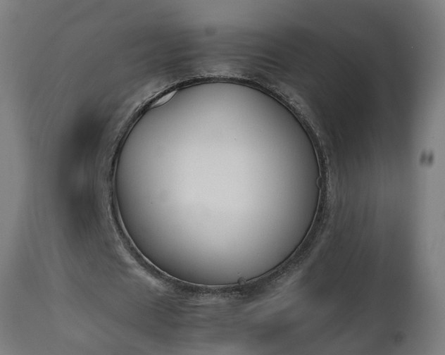 X0000112850625200908281604