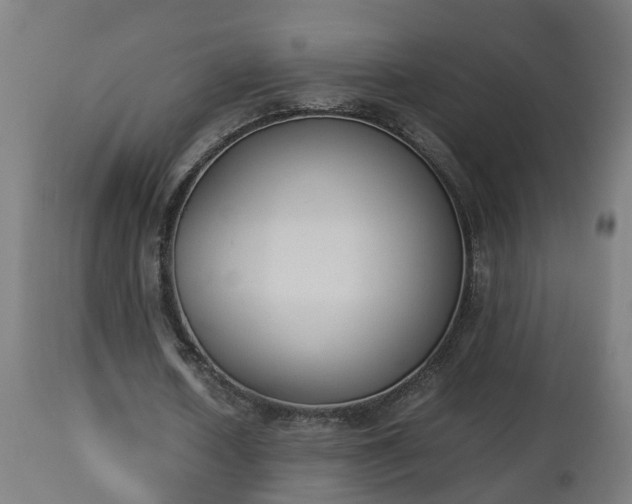 X0000112850626200908281604