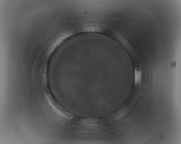 X0000112850627200908281604