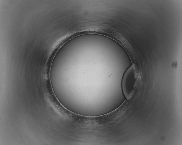 X0000112850628200908281604