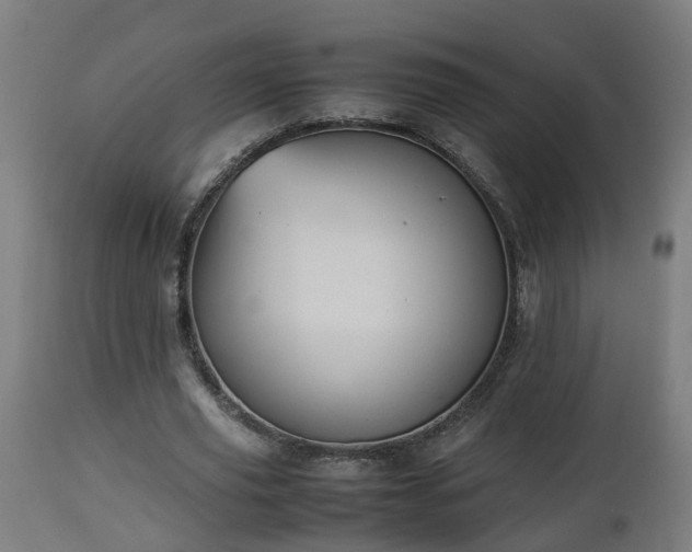 X0000112850629200908281604