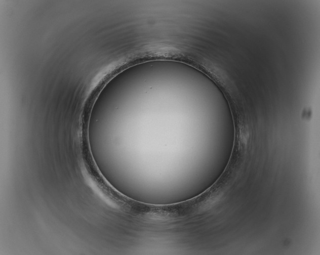 X0000112850630200908281604
