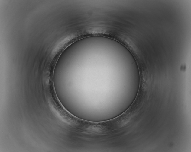X0000112850631200908281604