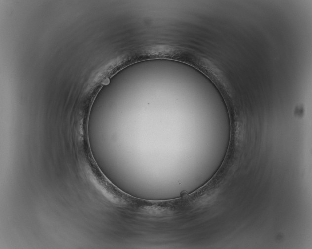 X0000112850633200908281604