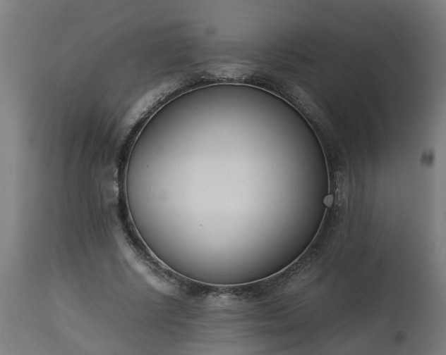 X0000112850634200908281604