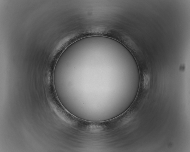 X0000112850636200908281604