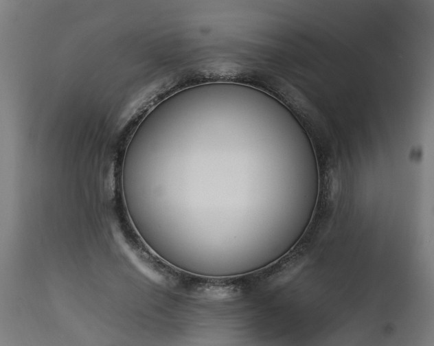 X0000112850638200908281604