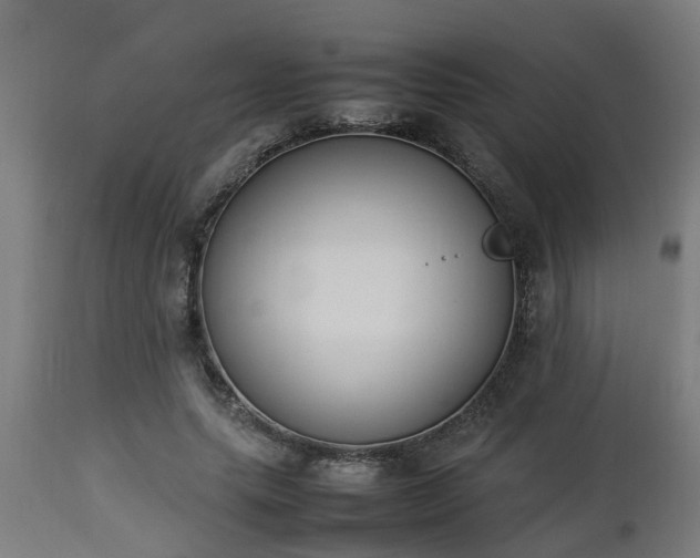 X0000112850639200908281604