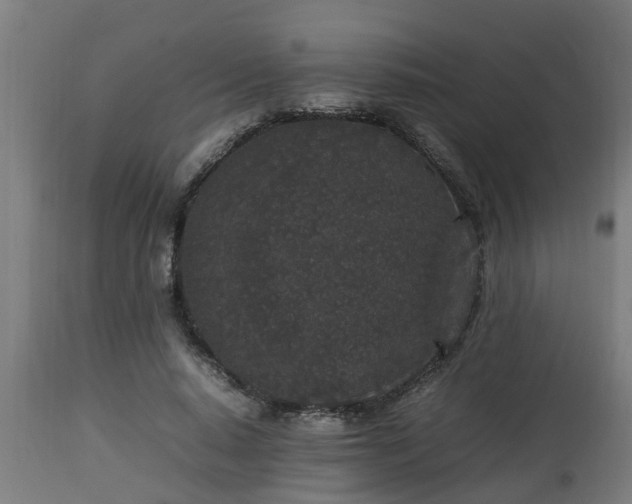 X0000112850640200908281604