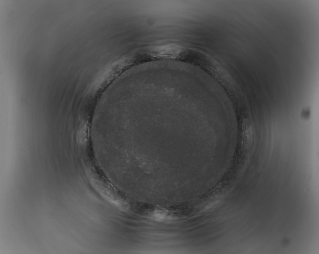 X0000112850641200908281604