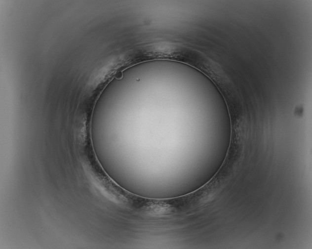X0000112850642200908281604