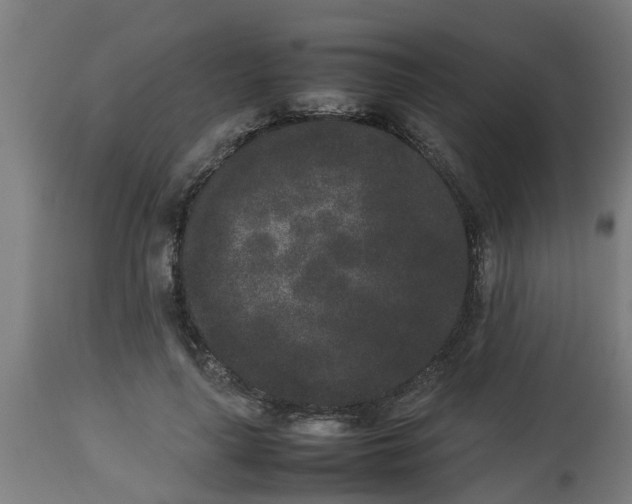 X0000112850643200908281604