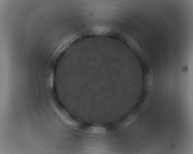 X0000112850644200908281604