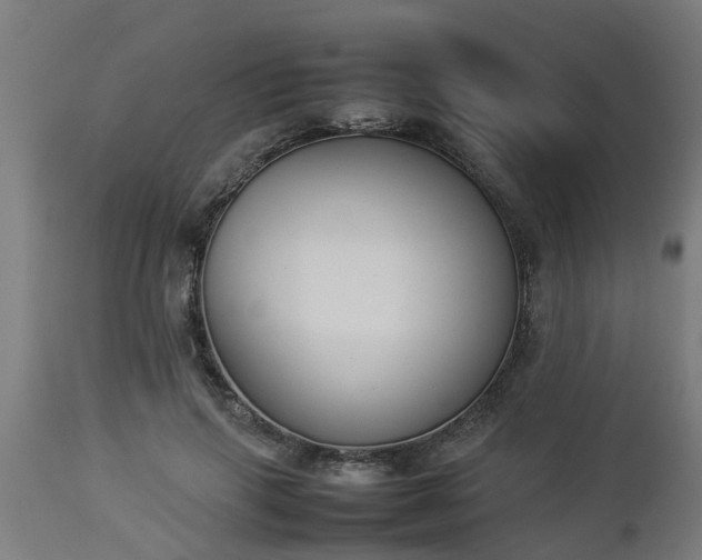 X0000112850645200908281604