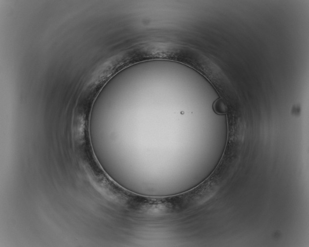 X0000112850646200908281604