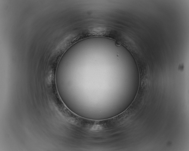 X0000112850647200908281604