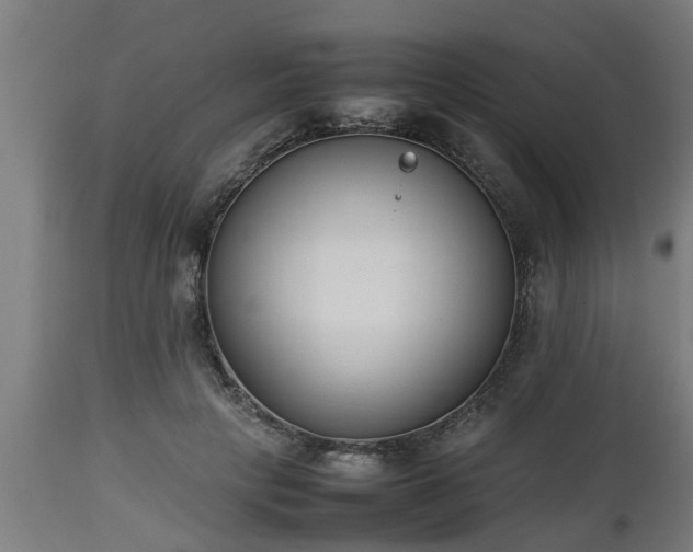 X0000112850649200908281604
