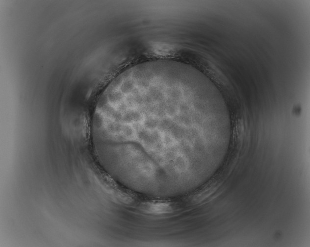 X0000112850651200908281605