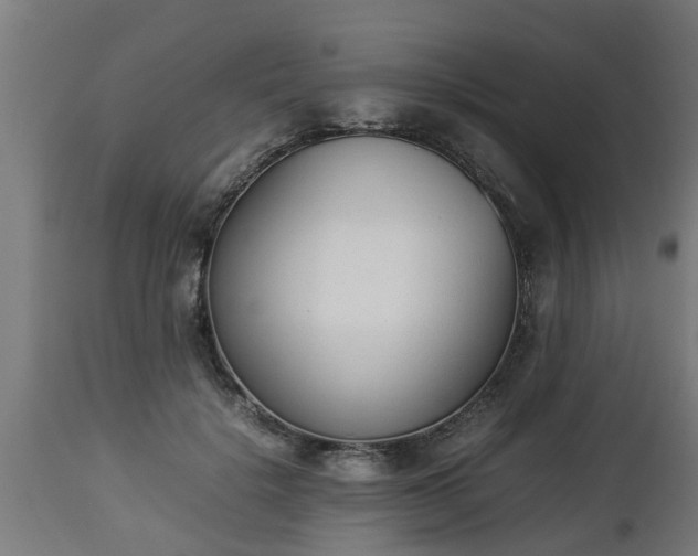 X0000112850652200908281605