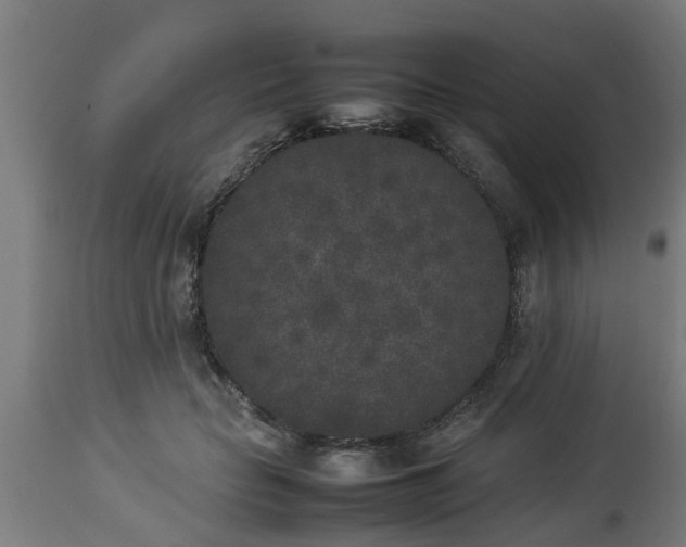 X0000112850653200908281605