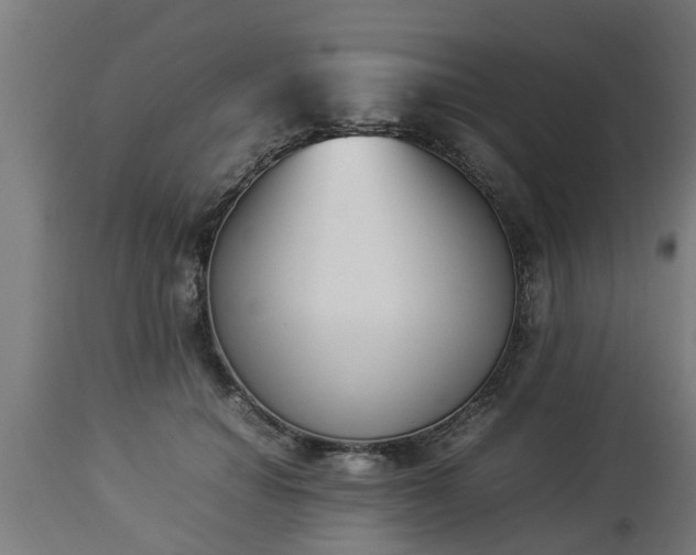 X0000112850654200908281605