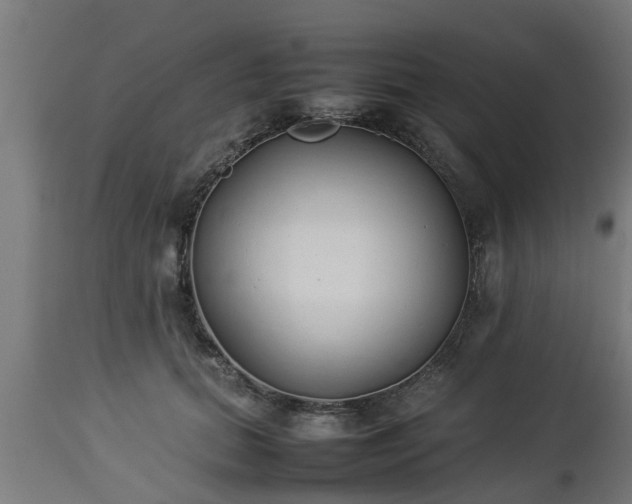 X0000112850655200908281605