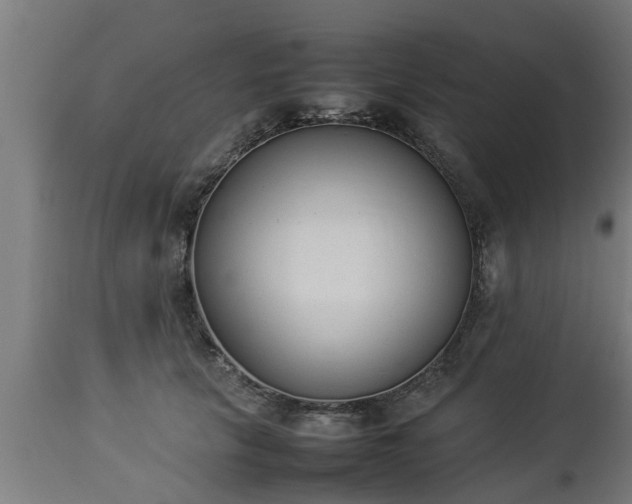 X0000112850657200908281605