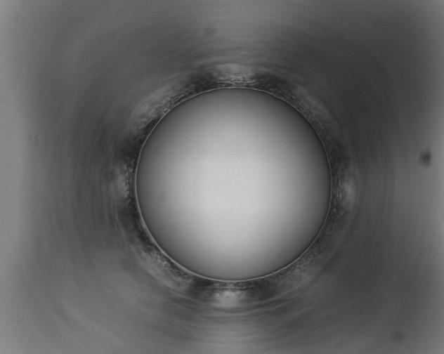 X0000112850658200908281605