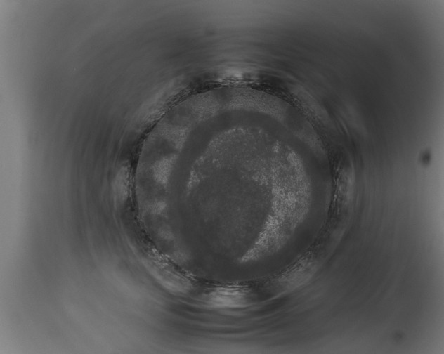 X0000112850659200908281605