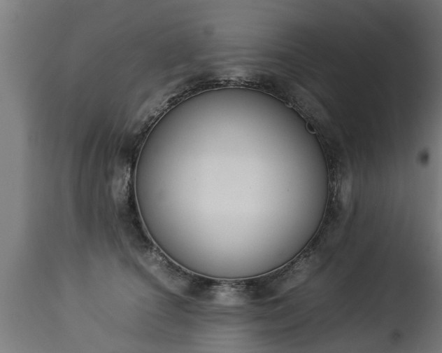 X0000112850660200908281605