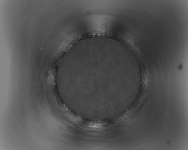 X0000112850661200908281605