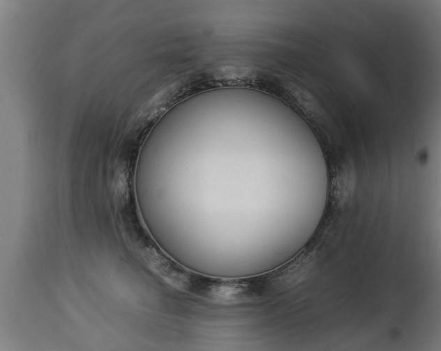 X0000112850662200908281605