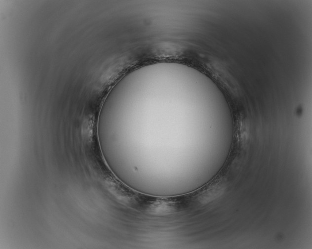 X0000112850664200908281605