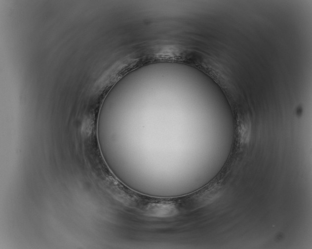 X0000112850665200908281605