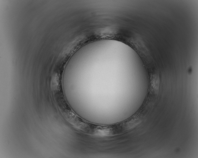 X0000112850667200908281605