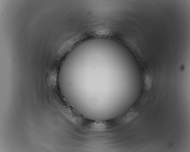 X0000112850668200908281605