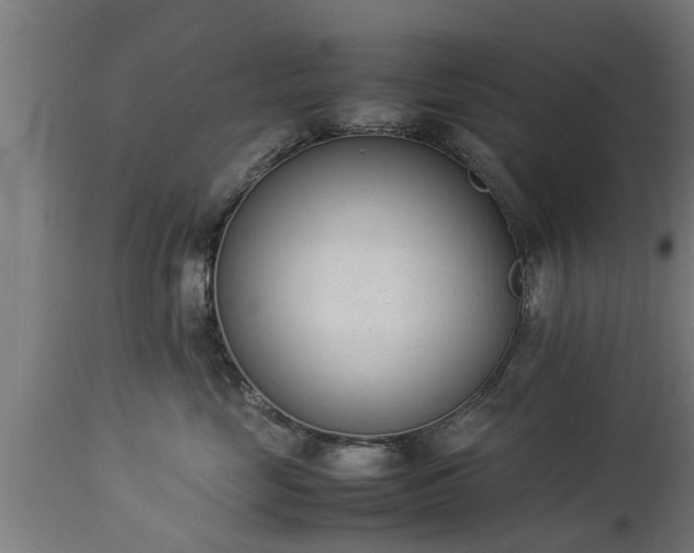 X0000112850669200908281605
