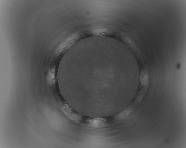 X0000112850670200908281605