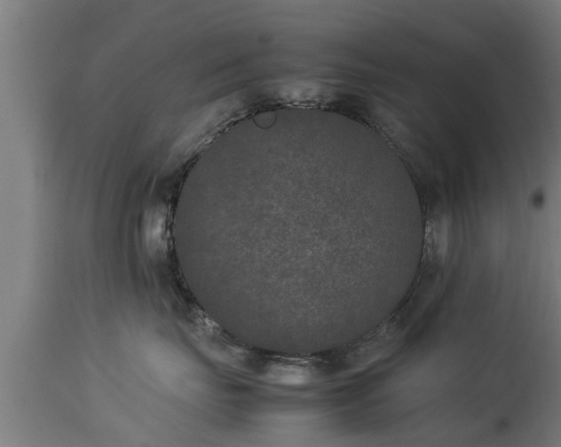 X0000112850671200908281605