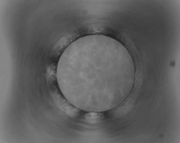 X0000112850672200908281605