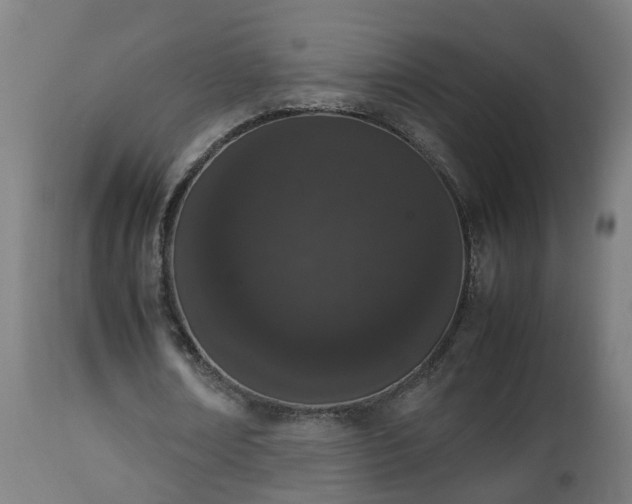X0000112850674200908281604
