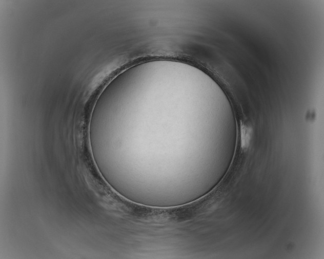 X0000112850675200908281604