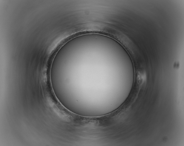 X0000112850676200908281604