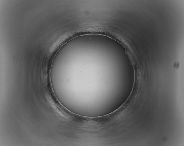 X0000112850677200908281604