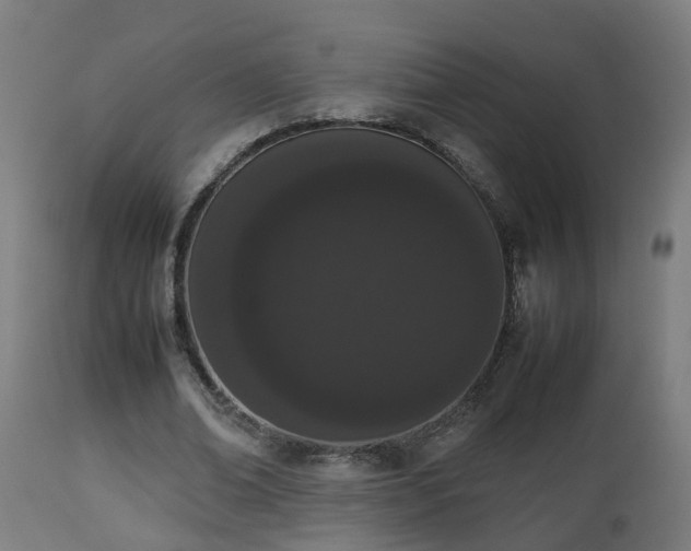X0000112850678200908281604