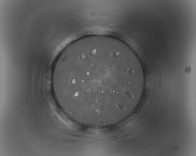 X0000112850679200908281604