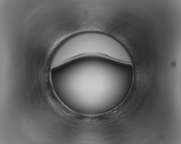 X0000112850680200908281604