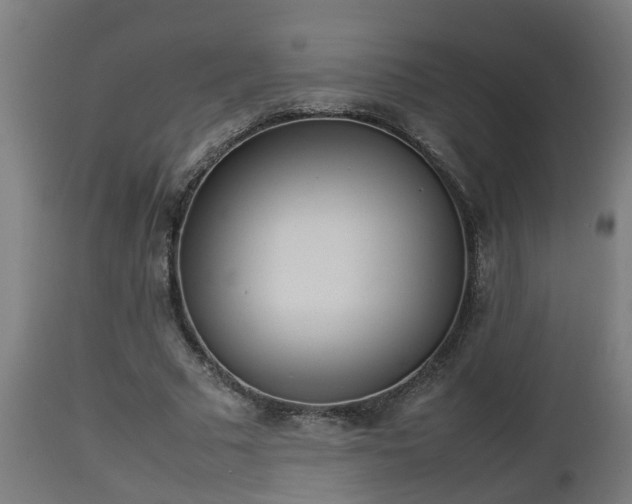 X0000112850681200908281604