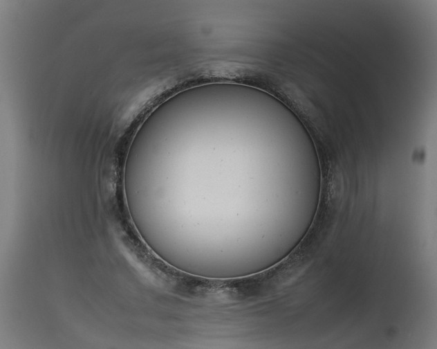 X0000112850683200908281604